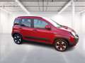 Fiat Panda 1.0 firefly hybrid Cross s&s 70cv 5p.ti Rosso - thumbnail 8