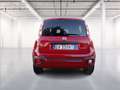 Fiat Panda 1.0 firefly hybrid Cross s&s 70cv 5p.ti Rosso - thumbnail 6
