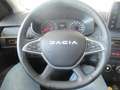 Dacia Jogger 1.0 TCe GPL 100 CV Grau - thumbnail 9