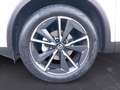Nissan Qashqai 1.3 mhev Tekna 2wd 140cv Weiß - thumbnail 9