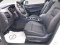Nissan Qashqai 1.3 mhev Tekna 2wd 140cv Weiß - thumbnail 10