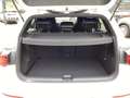 Volkswagen Golf VIII R 4M DSG Navi LED DCC Pano Head-UP! Wit - thumbnail 12