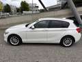 BMW 116 116d AdvantageAdvantage Weiß - thumbnail 4