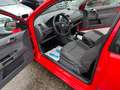 Volkswagen Polo Trendline Rojo - thumbnail 7