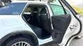 Audi Q2 1.6TDI Advanced S tronic 85kW Weiß - thumbnail 8