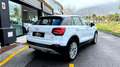 Audi Q2 1.6TDI Advanced S tronic 85kW Blanco - thumbnail 5