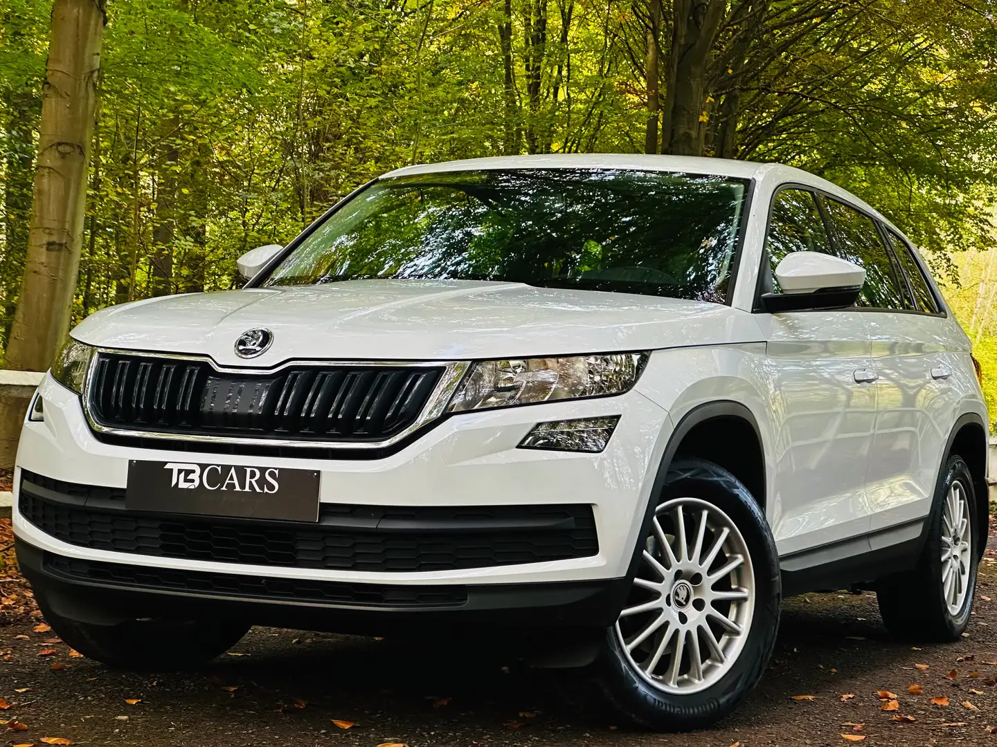 Skoda Kodiaq Biały - 1