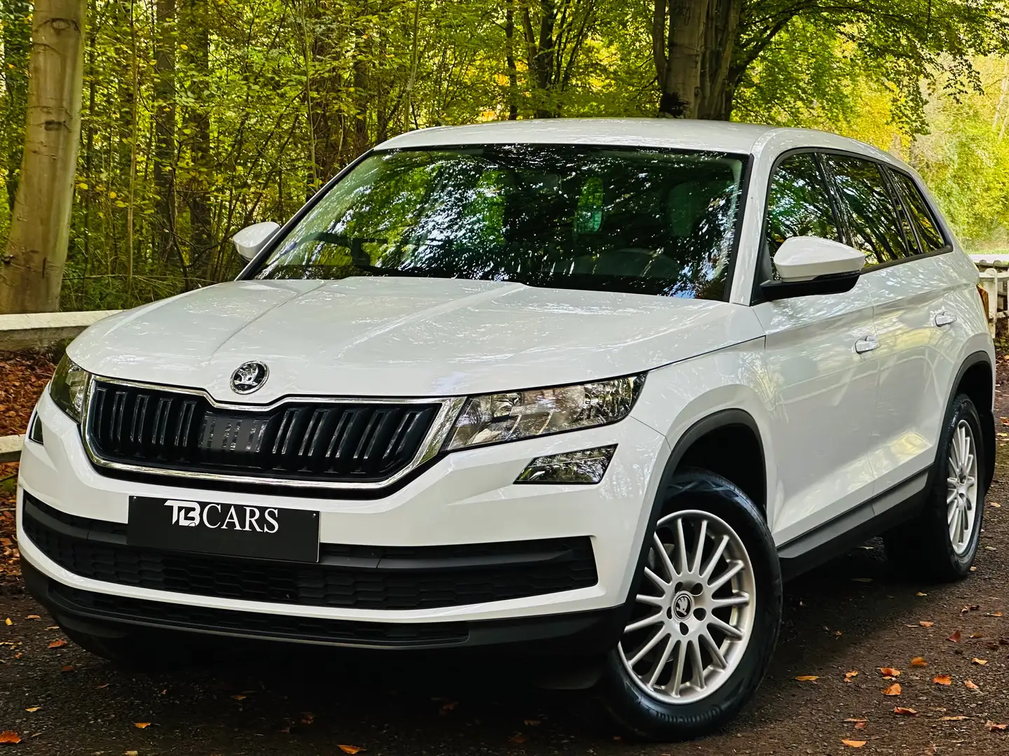 Skoda Kodiaq Biały - 2