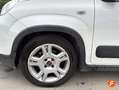 Fiat Panda City Life Hybrid 1.0 Gse 51kw (70CV) Blanc - thumbnail 10