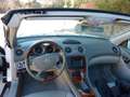 Mercedes-Benz SL 500 SL 500 Aut. Look AMG Blanco - thumbnail 17