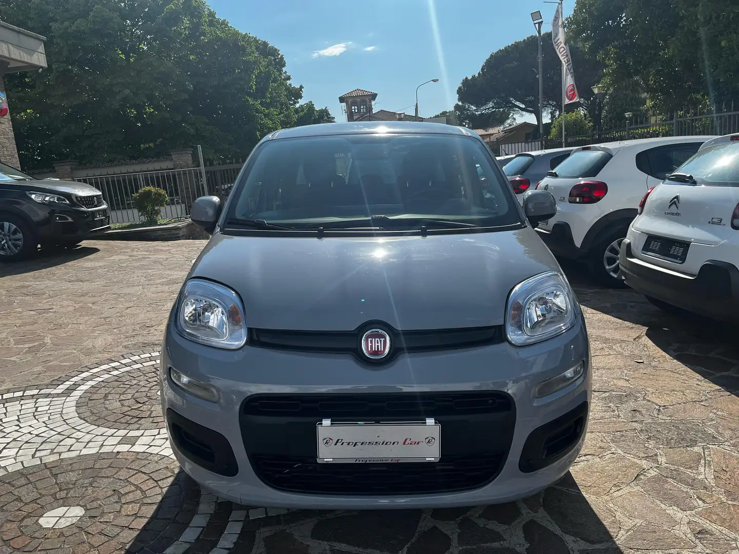 Fiat Panda Panda 1.0 hybrid Easy Connect s Grau - 2