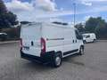 Peugeot Boxer 330 2.2 bluehdi 140cv S&S L1H1 Affaire Bianco - thumbnail 11