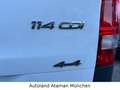 Mercedes-Benz Vito Kasten 114 CDI Autom. 4x4 *extralang*/Tempo Weiß - thumbnail 20