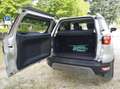 Ford EcoSport EcoSport 2018 1.0 ecoboost ST-Line 100cv my19 Argento - thumbnail 6