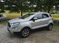 Ford EcoSport EcoSport 2018 1.0 ecoboost ST-Line 100cv my19 Argento - thumbnail 2