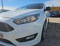 Ford Focus 1.5 Ecoboost S/S 134kW (182CV) ST-Li ST-Line Blanco - thumbnail 15