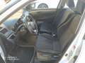 Suzuki Swift Swift V 5p 1.2 vvt B-Cool auto E6 Bianco - thumbnail 7