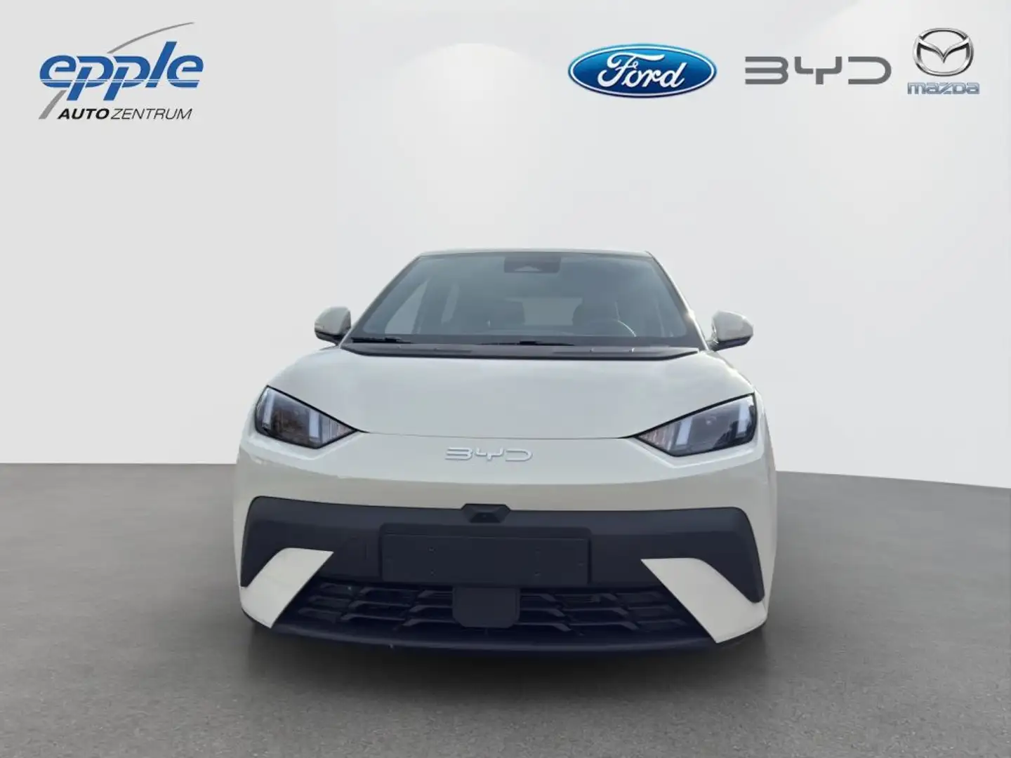 BYD Dolphin Surf DOLPHIN SURF Comfort White - 2