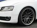 Audi A5 1.8 TFSI+SPORTFAHRWERK+XENON-PLUS+SPORTLEDERL White - thumbnail 3
