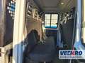 Iveco Daily 35C13 Wit - thumbnail 19
