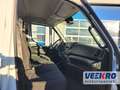 Iveco Daily 35C13 Wit - thumbnail 13