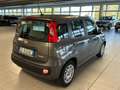 Fiat Panda 1.000 BENZINA HYBRID 70 CV CITY LIFE Grau - thumbnail 6