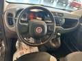 Fiat Panda 1.000 BENZINA HYBRID 70 CV CITY LIFE Grau - thumbnail 9