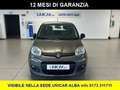 Fiat Panda 1.000 BENZINA HYBRID 70 CV CITY LIFE Grau - thumbnail 2