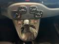 Fiat Panda 1.000 BENZINA HYBRID 70 CV CITY LIFE Grau - thumbnail 14
