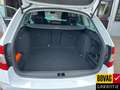 Skoda Octavia Combi 1.0 TSI Greentech Ambition Business Blanc - thumbnail 14