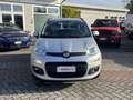 Fiat Panda 1.2 Pop s&s 69cv my19 Gris - thumbnail 11