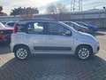 Fiat Panda 1.2 Pop s&s 69cv my19 Gris - thumbnail 14