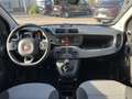 Fiat Panda 1.2 Pop s&s 69cv my19 Gris - thumbnail 8