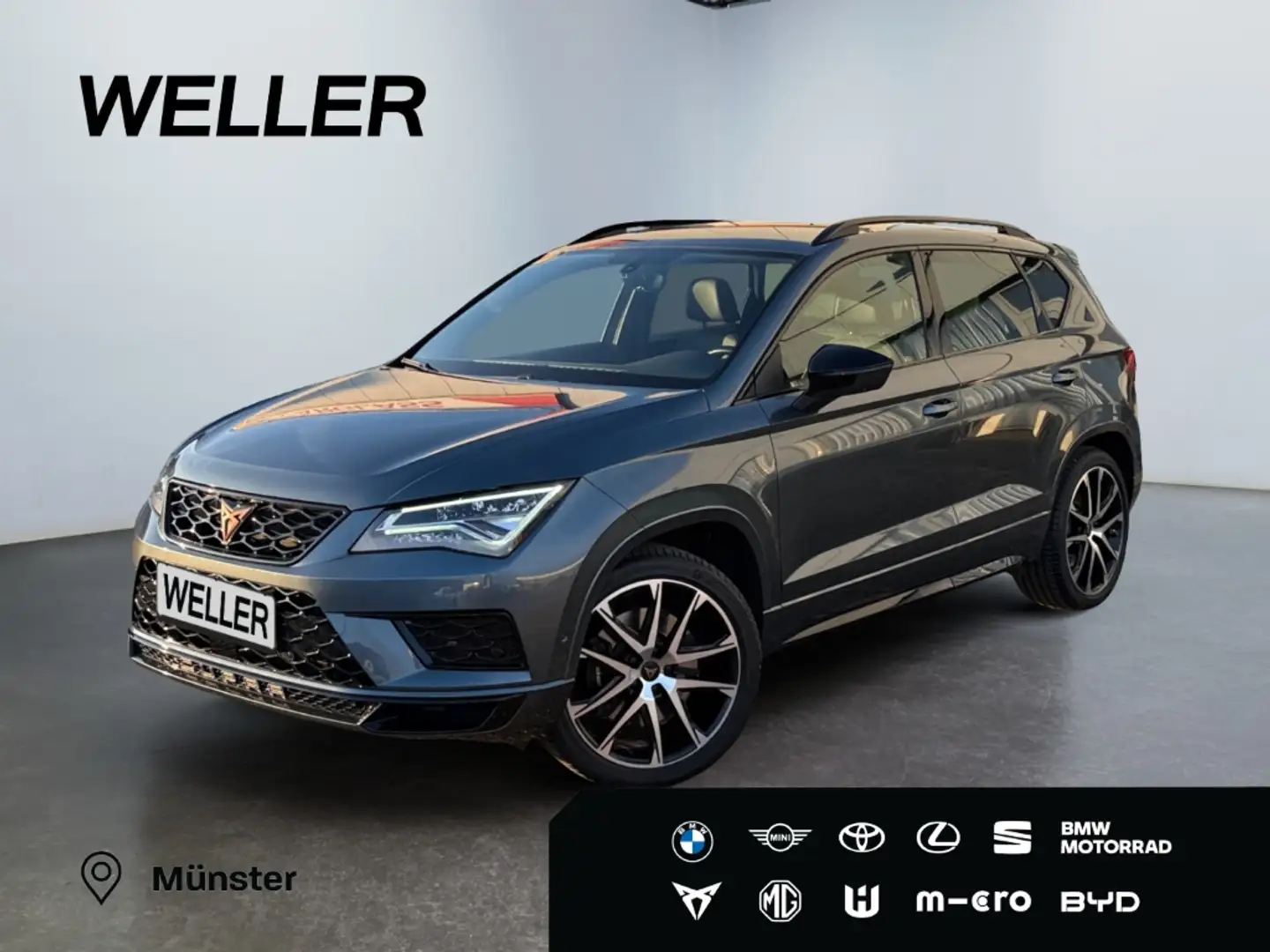CUPRA Ateca 2.0 TSI 4Drive DSG *LED*AHK*360°*Alcantara* Grau - 1