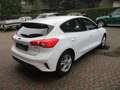 Ford Focus 1.0 EcoBoost Hybrid 125CV 5p.Business*PREZZO REALE Bianco - thumbnail 6