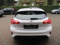Ford Focus 1.0 EcoBoost Hybrid 125CV 5p.Business*PREZZO REALE Bianco - thumbnail 5