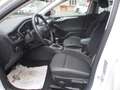 Ford Focus 1.0 EcoBoost Hybrid 125CV 5p.Business*PREZZO REALE Bianco - thumbnail 10
