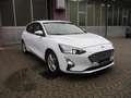 Ford Focus 1.0 EcoBoost Hybrid 125CV 5p.Business*PREZZO REALE Bianco - thumbnail 8