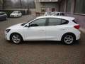Ford Focus 1.0 EcoBoost Hybrid 125CV 5p.Business*PREZZO REALE Bianco - thumbnail 3