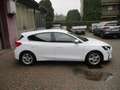 Ford Focus 1.0 EcoBoost Hybrid 125CV 5p.Business*PREZZO REALE Bianco - thumbnail 7