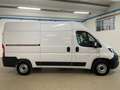 Fiat Ducato Serie 9 Furgone 35Q MH2 140cv 2.2 Multijet 3 2024 Bianco - thumbnail 9