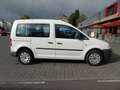 Volkswagen Caddy Life 1.4L Kombi **KLIMATRONIC**5-SITZER** Weiß - thumbnail 5