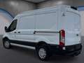 Ford Transit Transit Kasten 2,0 EcoBlue L2H2 350 Trend Aut. ... Weiß - thumbnail 6