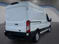 Ford Transit Transit Kasten 2,0 EcoBlue L2H2 350 Trend Aut. ... Weiß - thumbnail 7