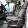 Ford Transit Transit Kasten 2,0 EcoBlue L2H2 350 Trend Aut. ... Weiß - thumbnail 16
