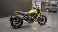 Ducati Scrambler 800 ICON Giallo - thumbnail 5