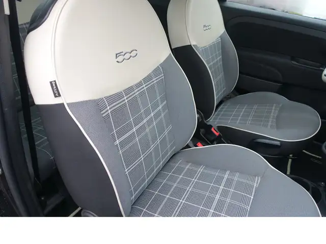 Fiat 500c view 13