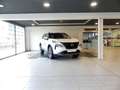 Nissan X-Trail Nuevo 5 Plazas 1.5 e-POWER 152kW (204CV) A/T 4x2 N Blanc - thumbnail 2
