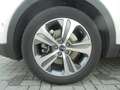 Kia Sorento Platinum Edition 4WD Glasschiebedach 360° Weiß - thumbnail 7