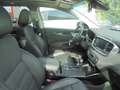 Kia Sorento Platinum Edition 4WD Glasschiebedach 360° Weiß - thumbnail 9